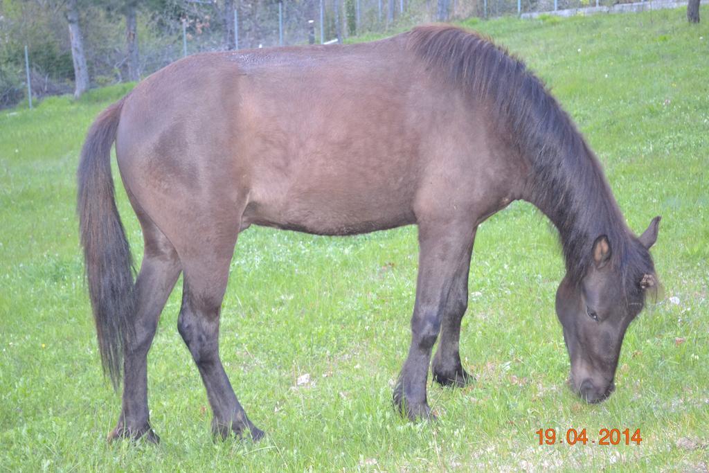 Mouson Melathron Elafina Exterior foto